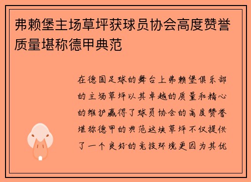 弗赖堡主场草坪获球员协会高度赞誉质量堪称德甲典范